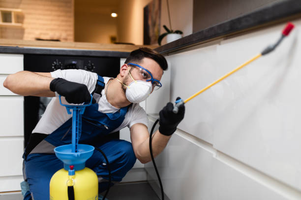 Best Wasp Removal Services  in Logan, NM