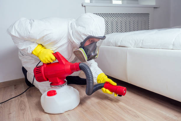Best Local Pest Control Services  in Logan, NM