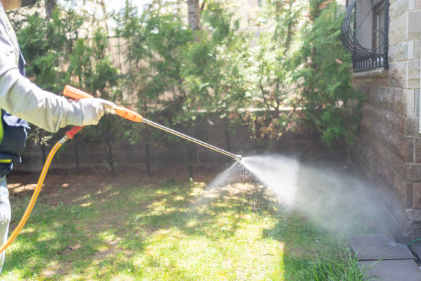 Wasp Removal Services in Logan, NM