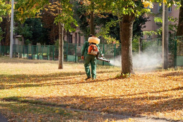 Best Pest Control for Homes  in Logan, NM