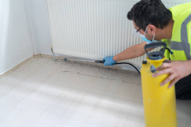 Best Pest Control for Restaurants  in Logan, NM